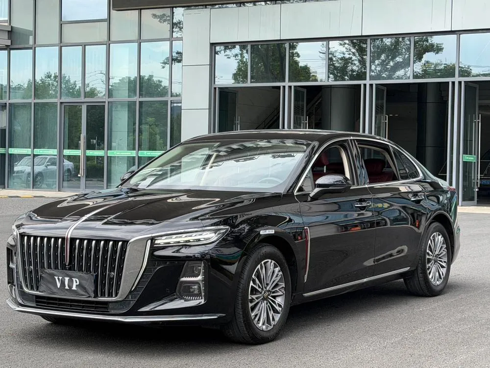 Hongqi H5, 2024