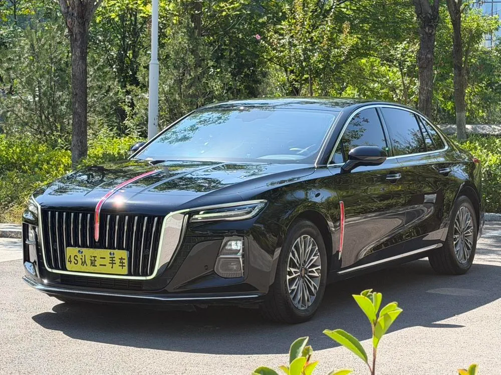 Hongqi H5, 2024