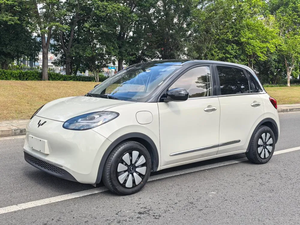 Wuling Bingo, 2024