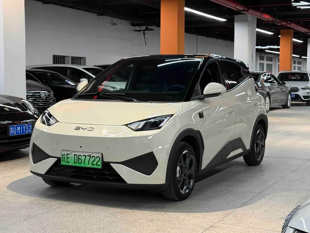 BYD Seagull, 2025