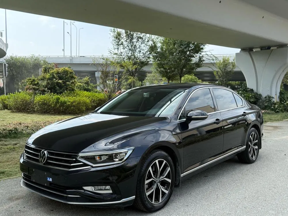 Volkswagen Magotan, 2020
