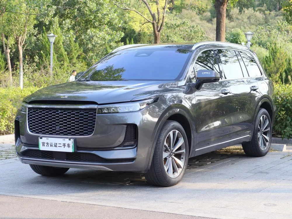 Li Auto ONE, 2021