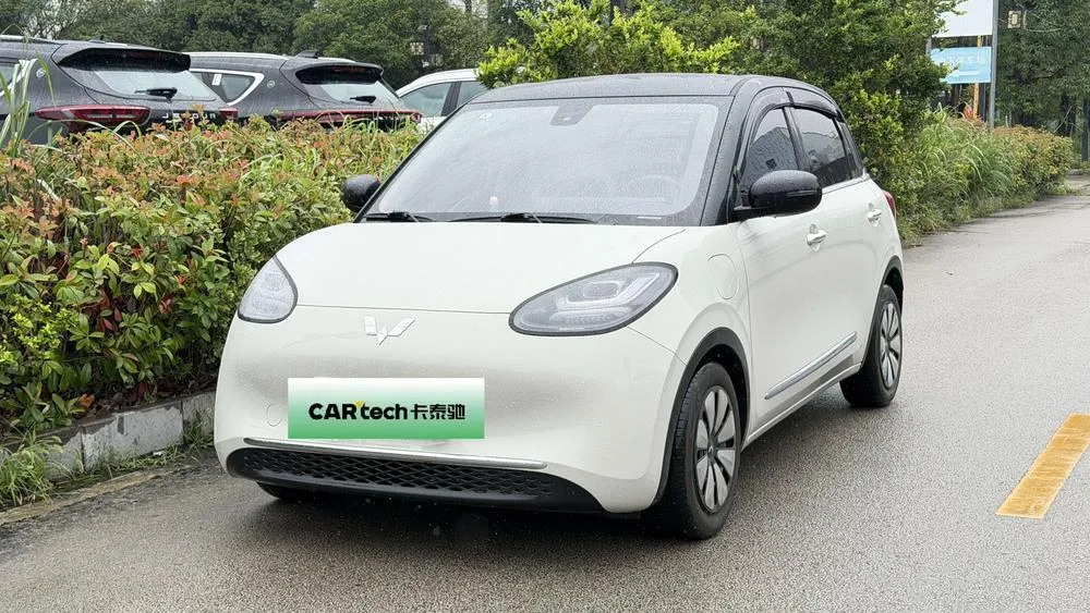 Wuling Bingo, 2023