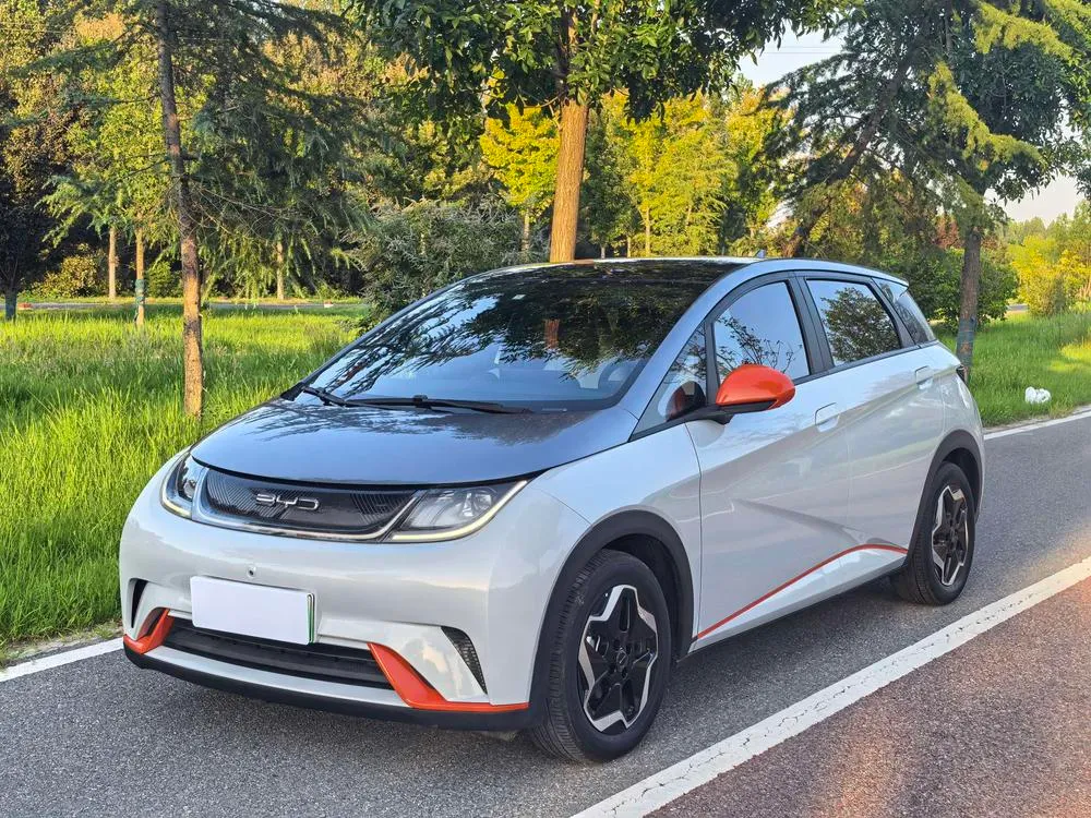 BYD Dolphin, 2021