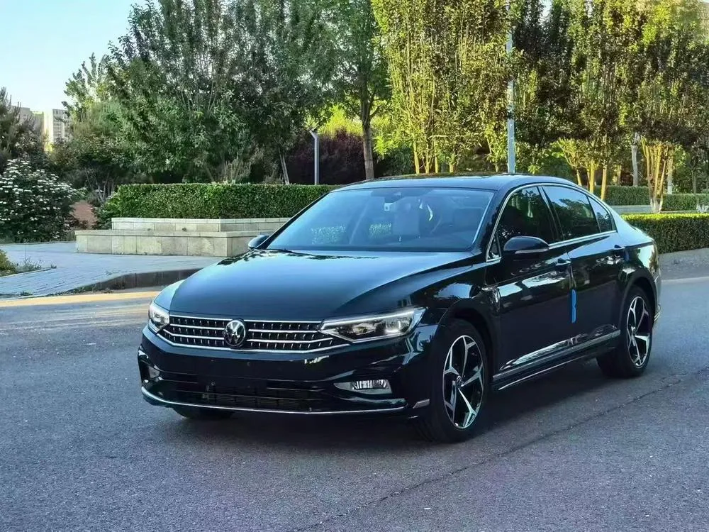 Volkswagen Magotan, 2024