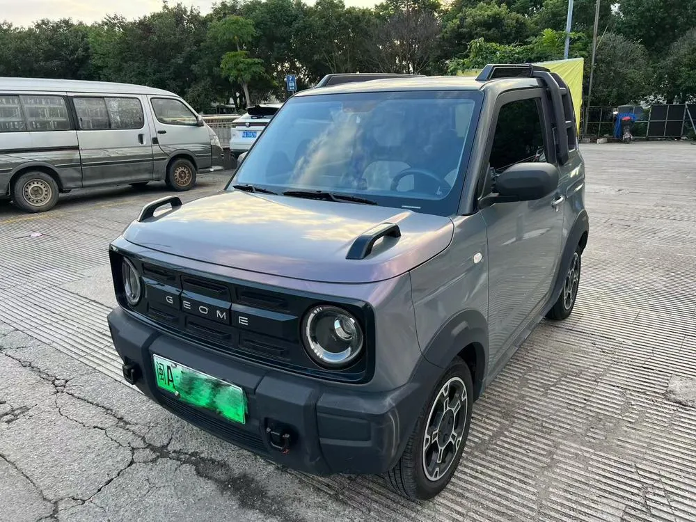 Galaxy Panda, 2025