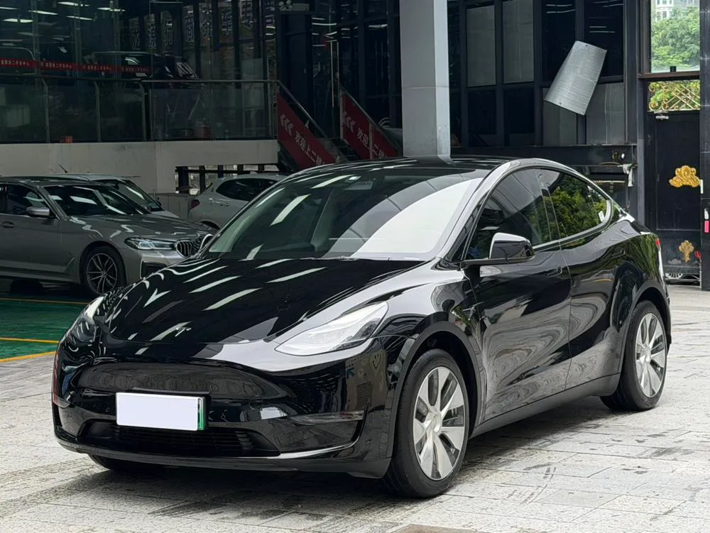 Tesla Model Y, 2021