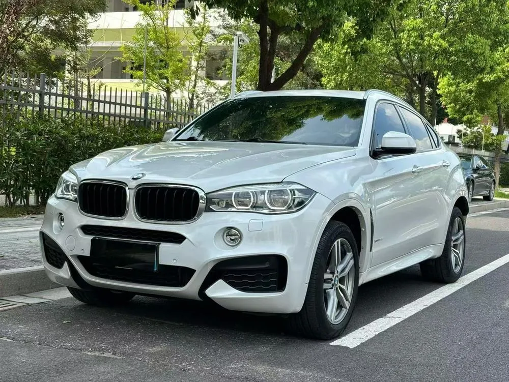BMW X6, 2015