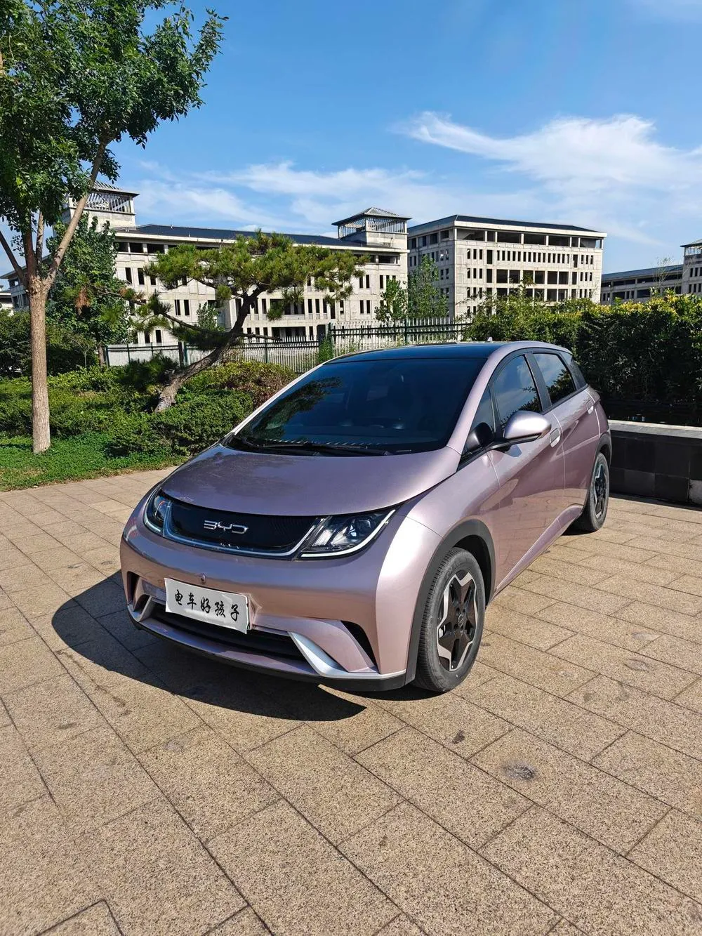 BYD Dolphin, 2021