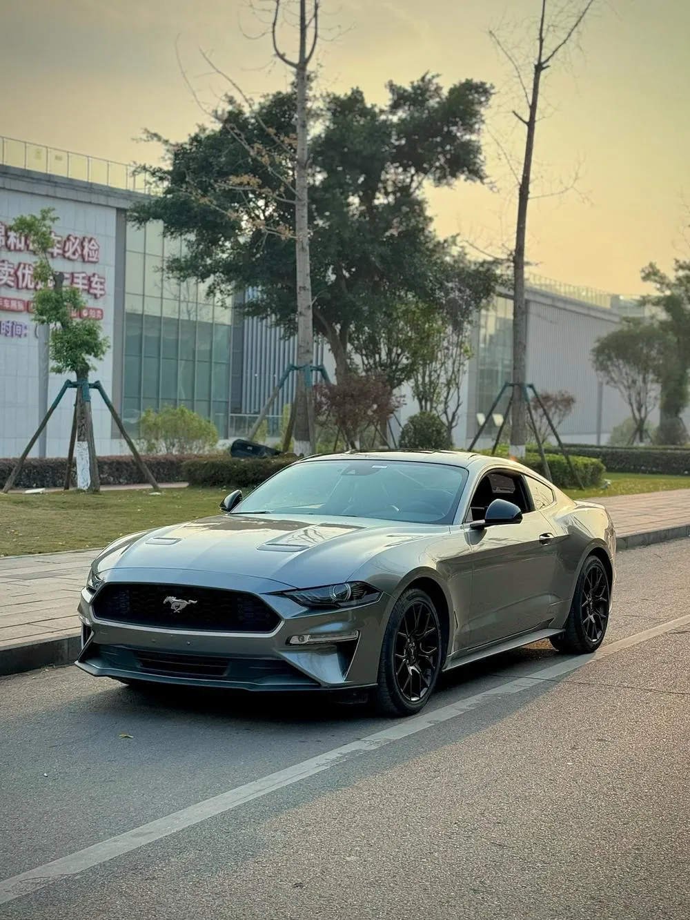 Ford Mustang, 2018