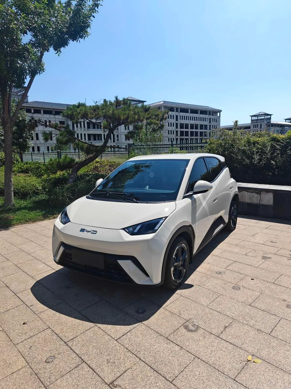 BYD Seagull, 2023
