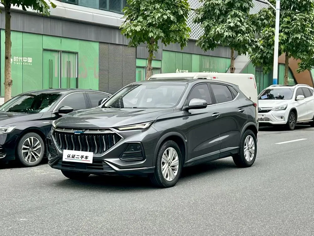 Changan Oshan X5, 2021