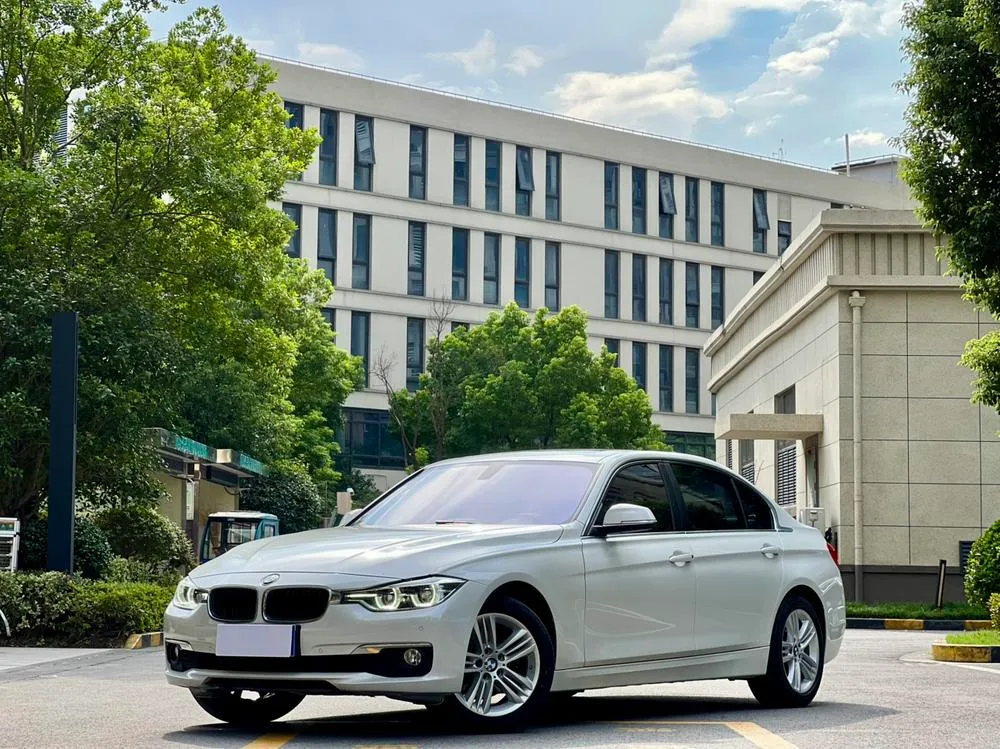 BMW 3-Series 320Li Version, 2016 — фото 1