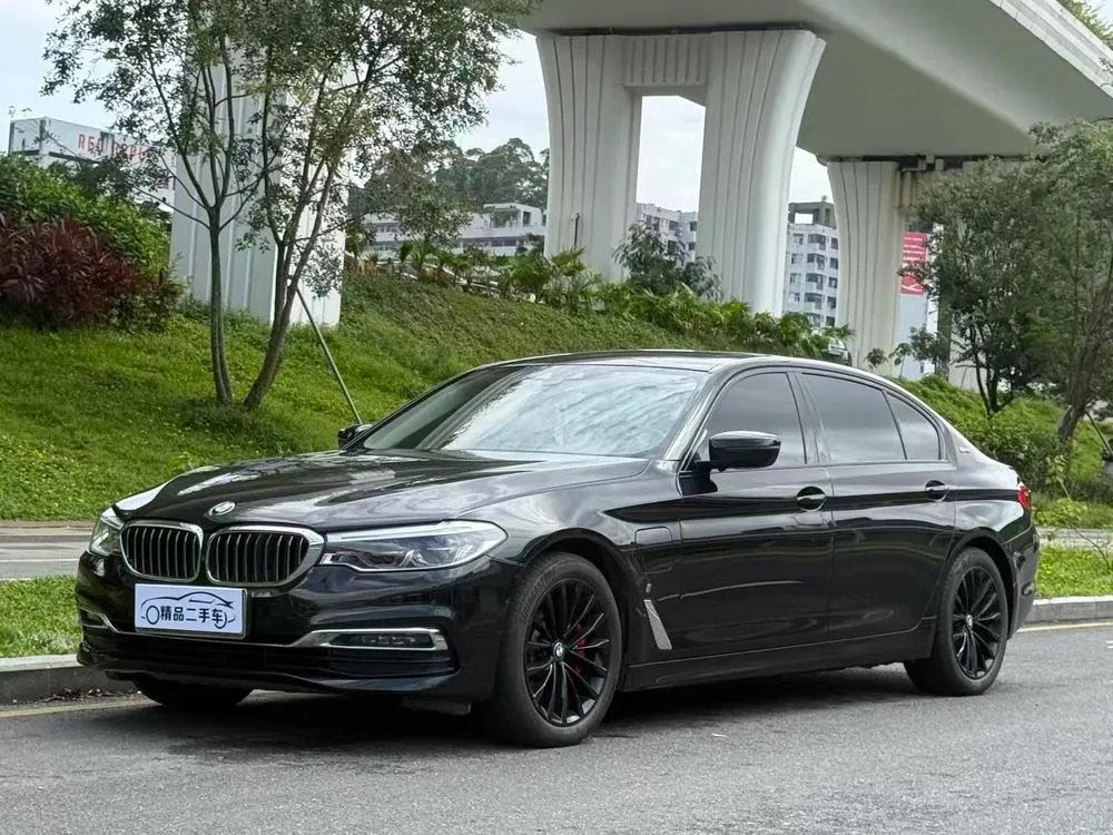 BMW 5-Series PHEV 530Le Luxury, 2019 — фото 1