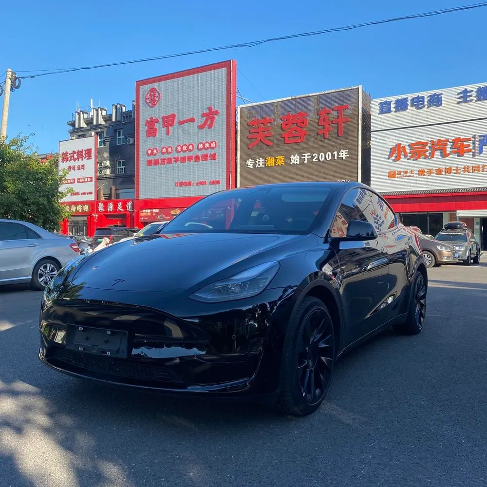 Tesla Model Y, 2022