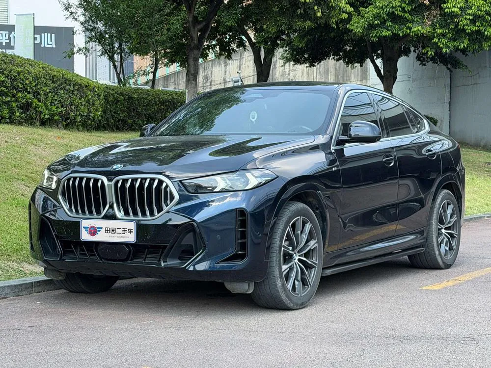 BMW X6, 2023