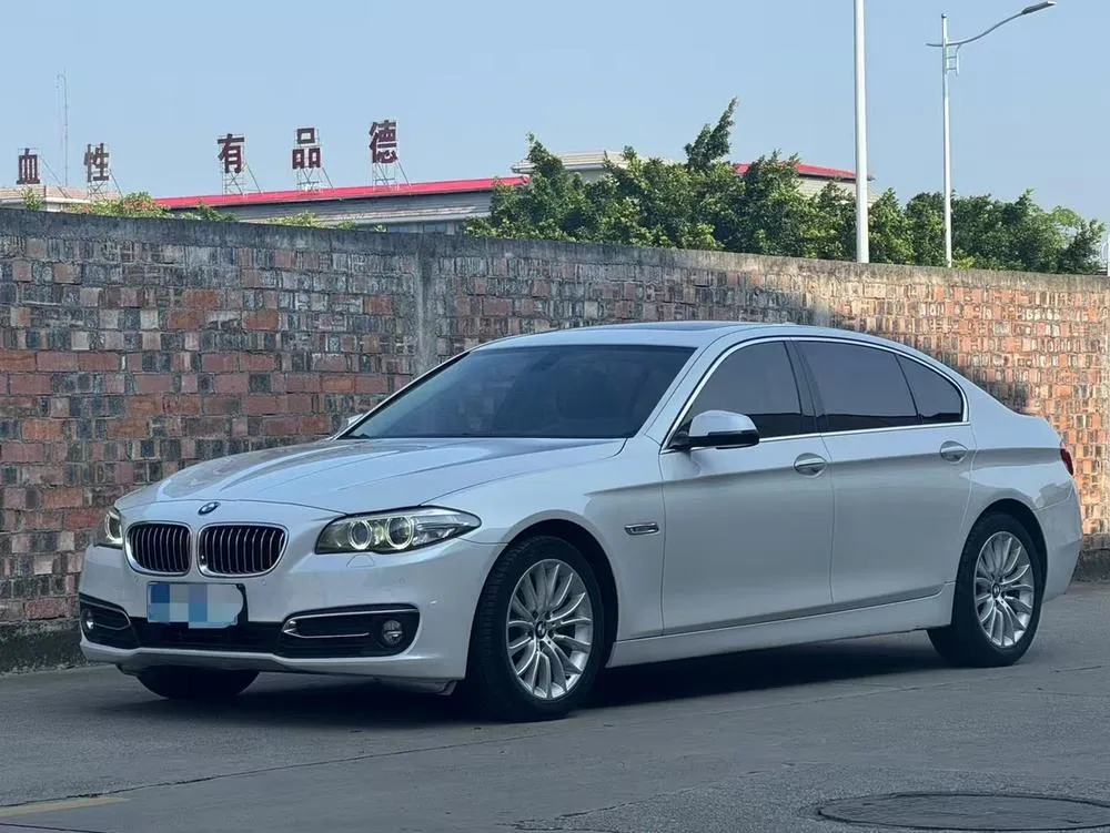 BMW 5-Series 525Li Luxury, 2017 — фото 1