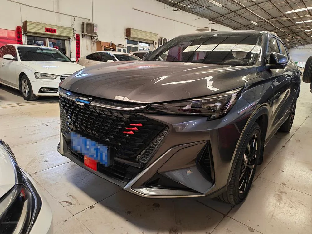 Changan Oshan X5 PLUS, 2023