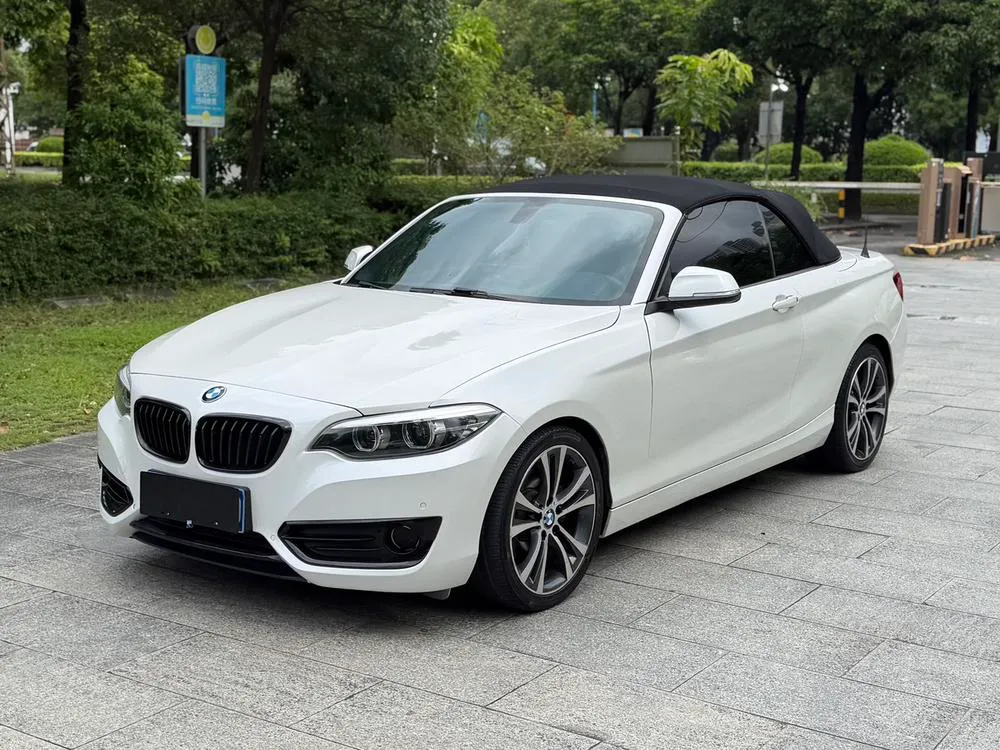 BMW 2-Series (Import), 2019