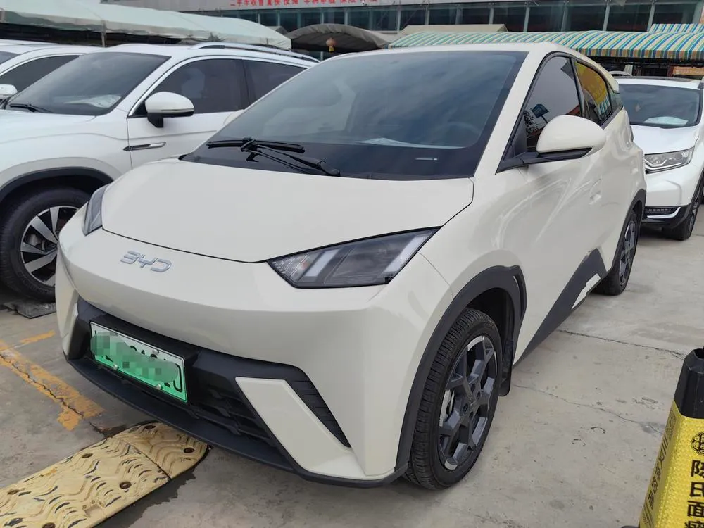 BYD Seagull, 2025