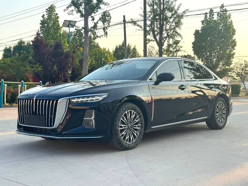 Hongqi H5, 2024