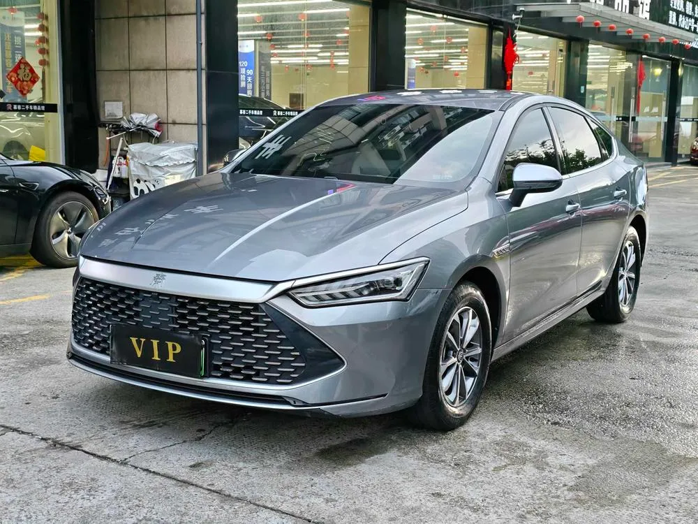 BYD Qin PLUS DM Glory Edition DM-i 55KM Leading Version, 2024 — фото 1