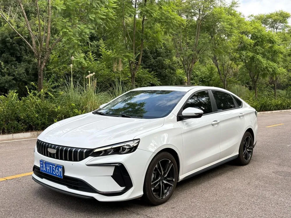 Geely Binrui, 2024