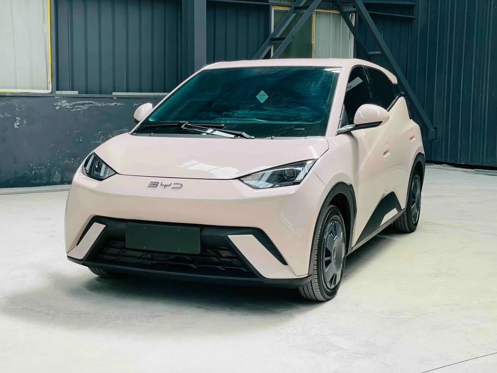BYD Seagull, 2025