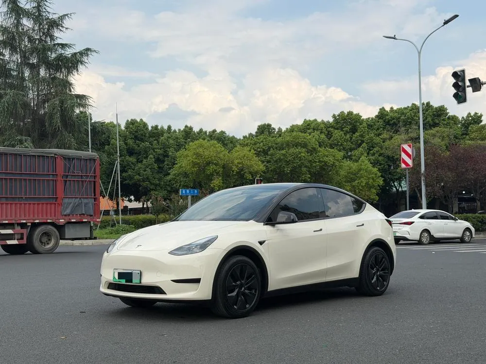 Tesla Model Y, 2024