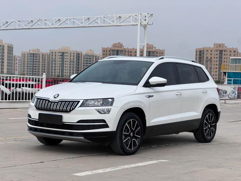 Skoda Karoq, 2019