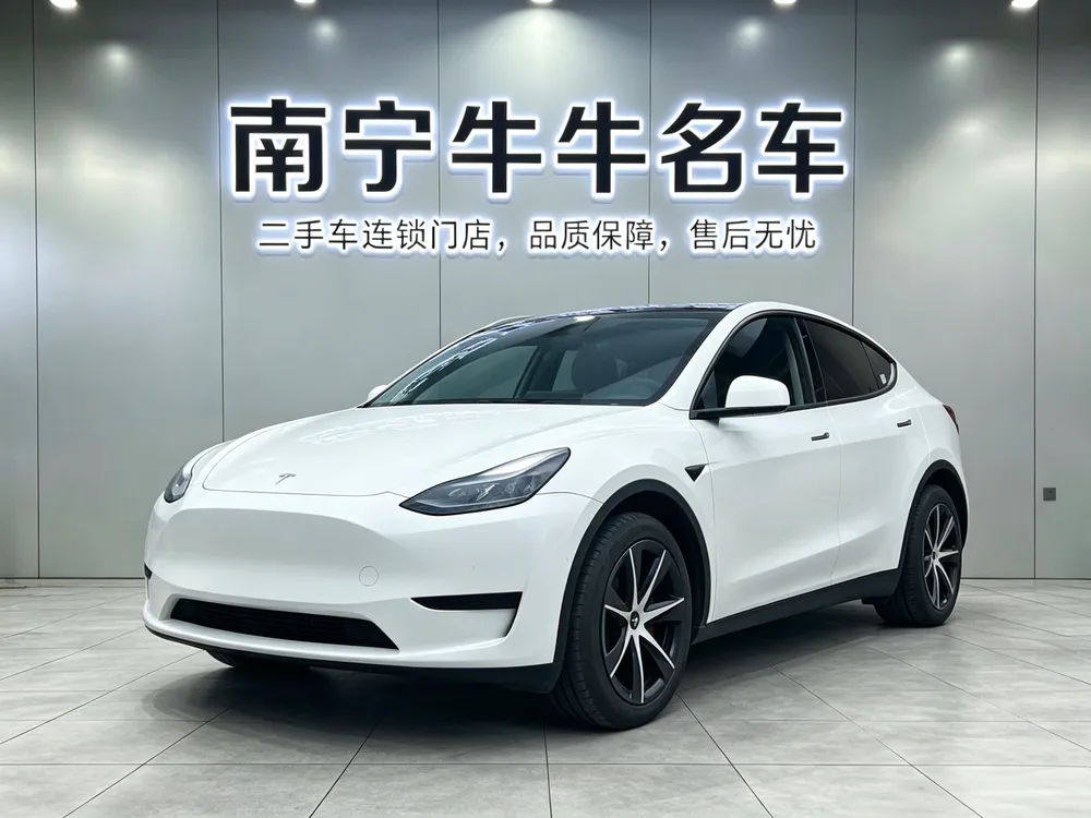 Tesla Model Y Edition, 2023 — фото 1