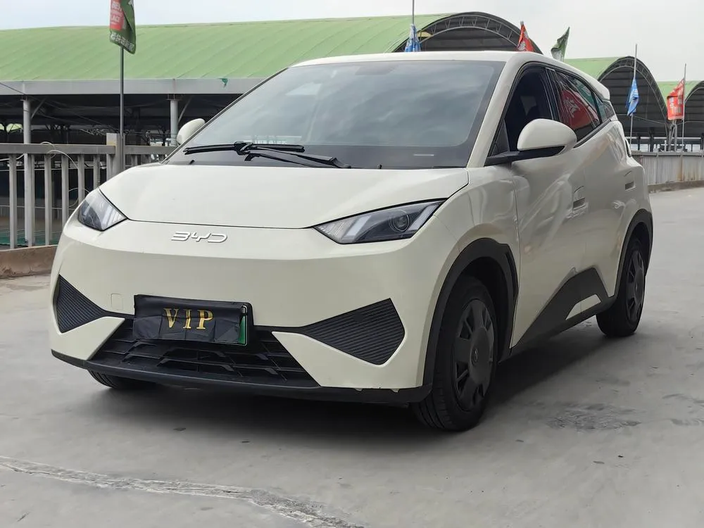 BYD Seagull, 2025