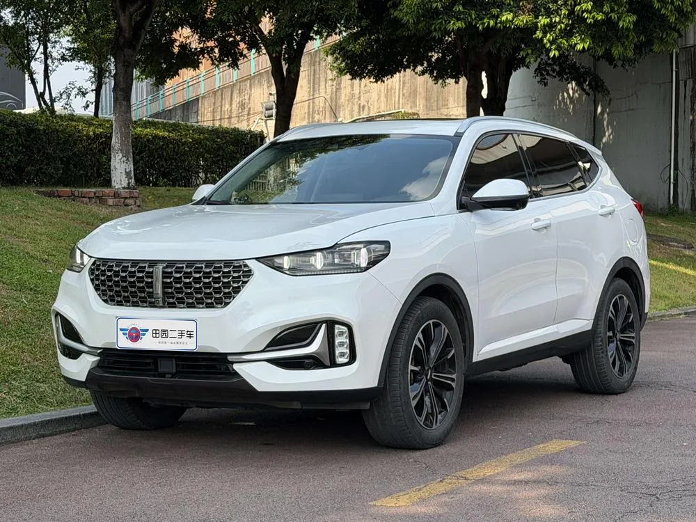 Wey VV6, 2021