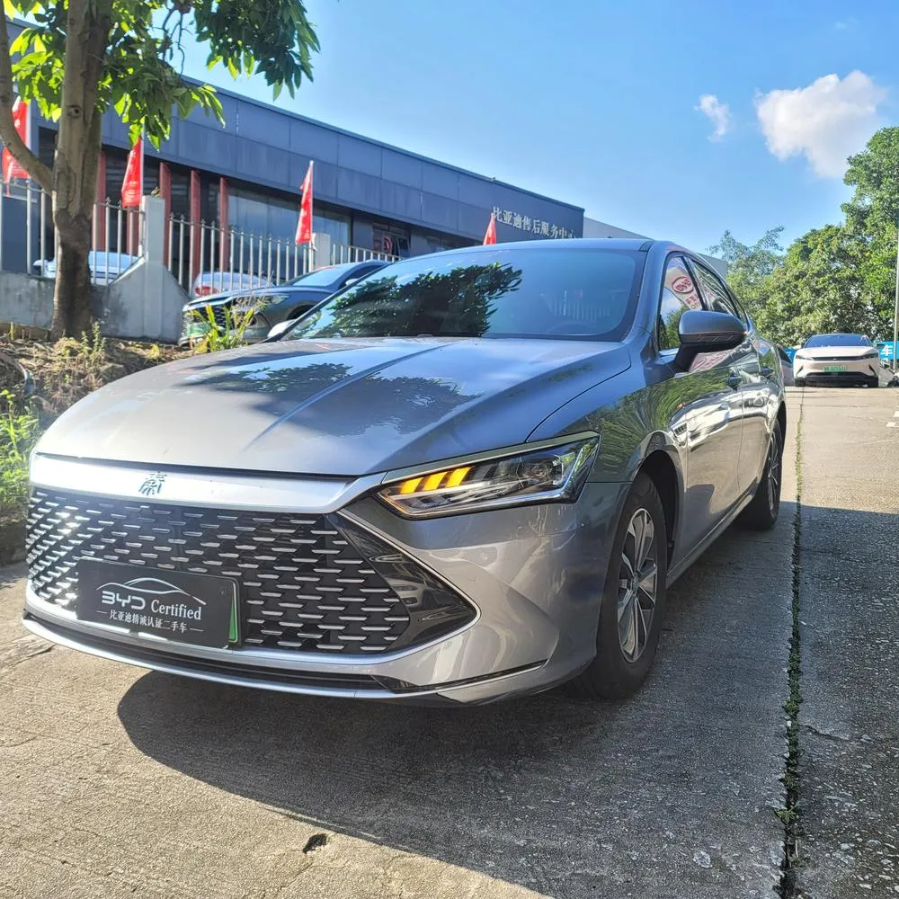 BYD Qin PLUS DM Glory Edition DM-i 55KM Leading Version, 2024 — фото 1