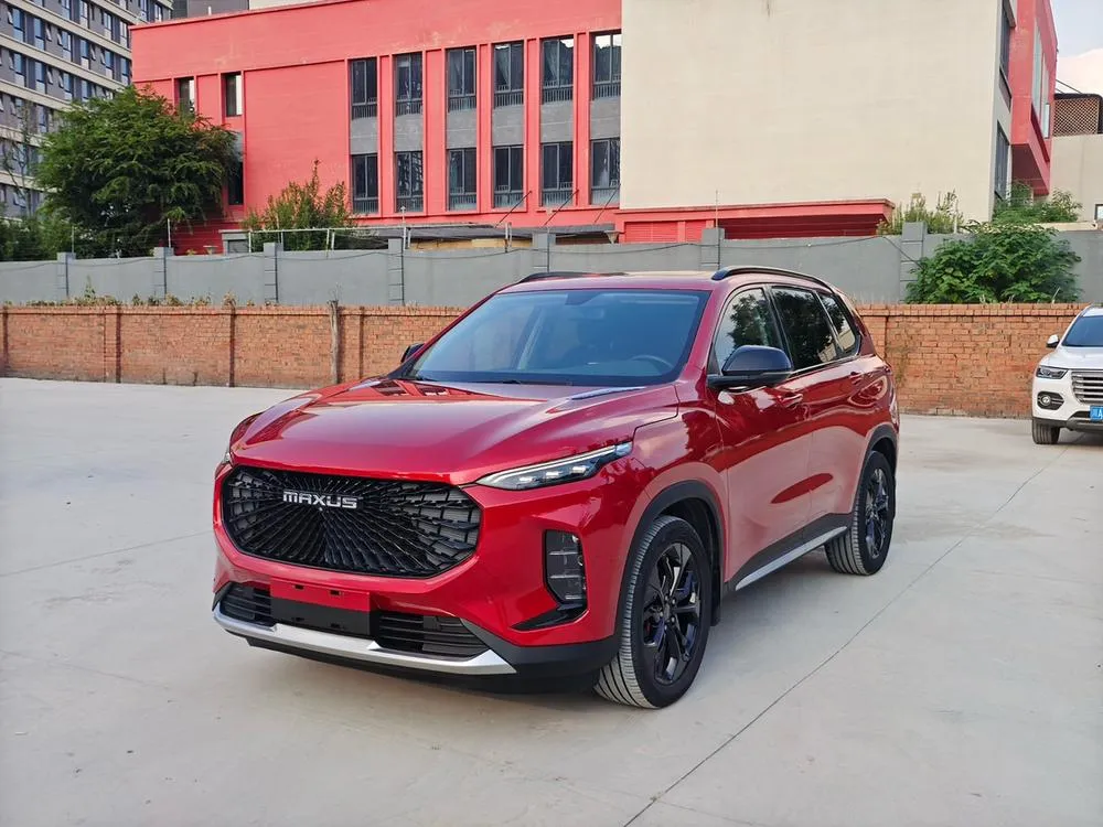 Maxus D60, 2019