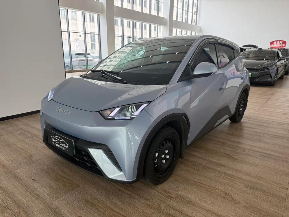BYD Seagull, 2025
