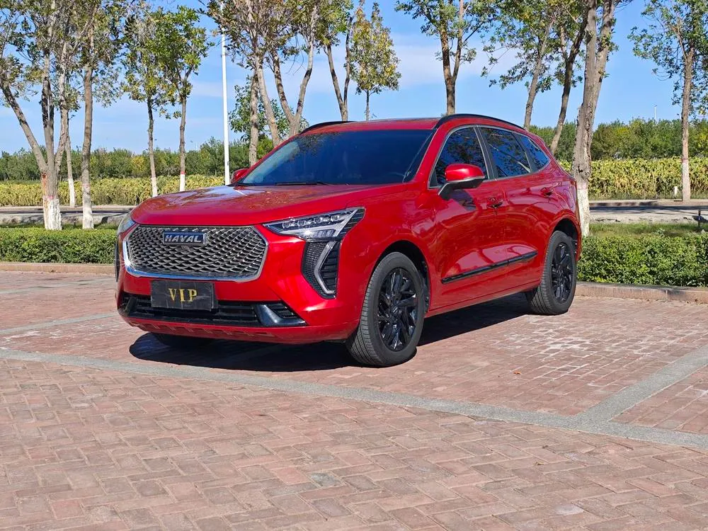 Haval Jolion, 2021