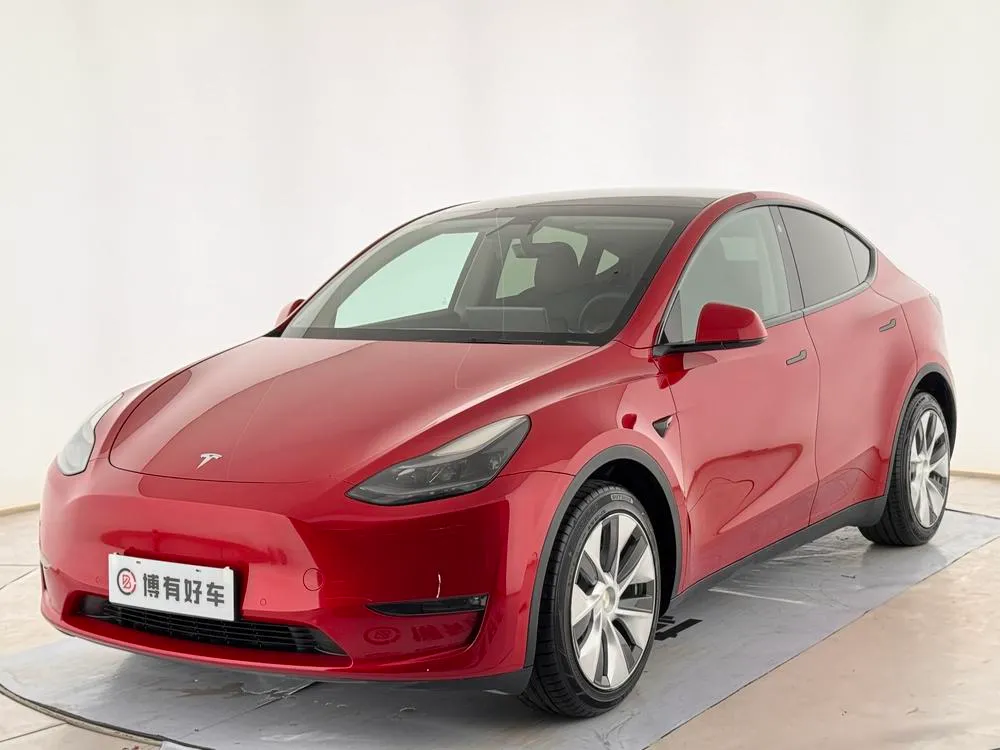 Tesla Model Y, 2021