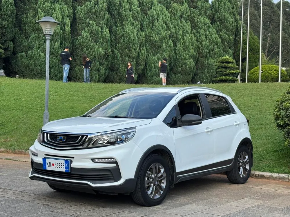 Geely Yuanjing X3, 2020