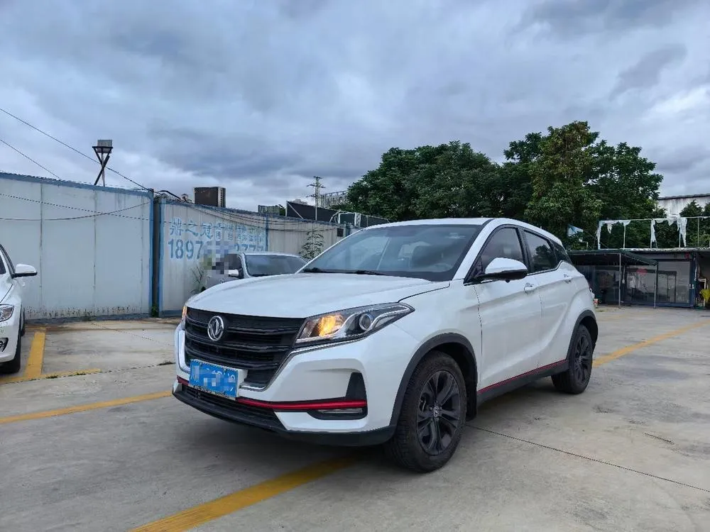 Dongfeng Fengguang Fengon 500, 2021