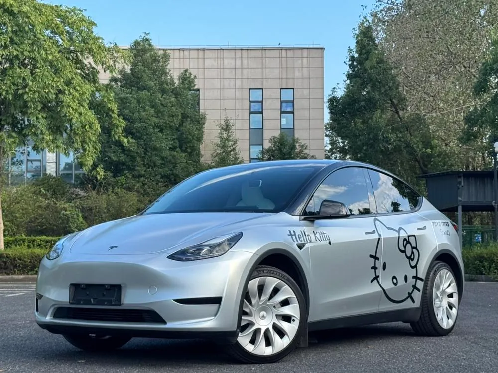 Tesla Model Y, 2024