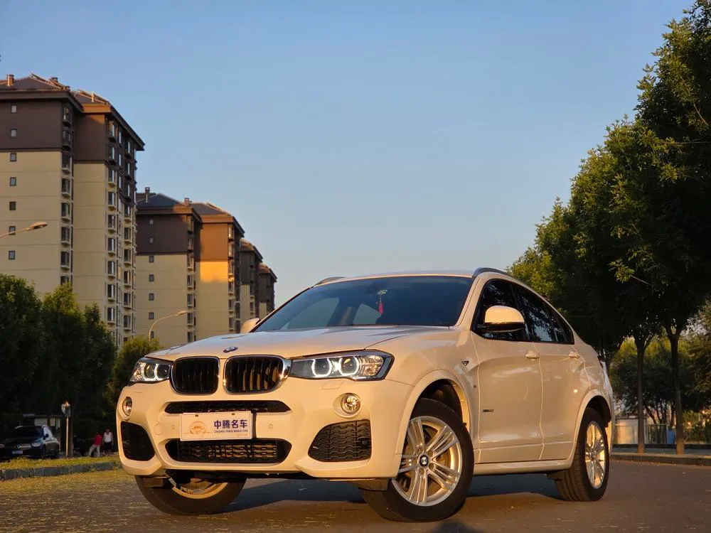 BMW X4 xDrive20i M Sport Version, 2016 — фото 1