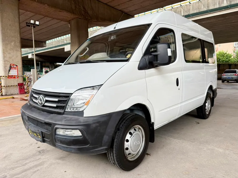 Maxus New V80, 2019