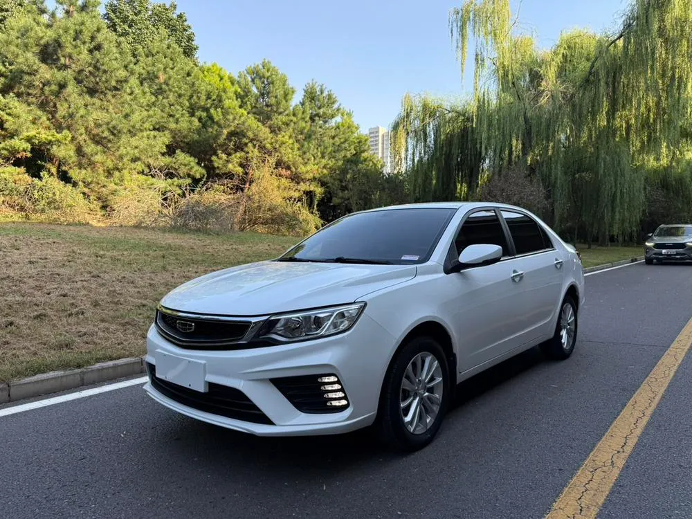 Geely Yuanjing, 2020