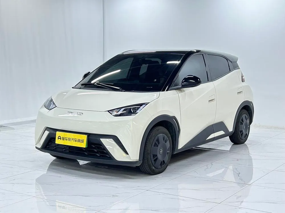 BYD Seagull, 2023