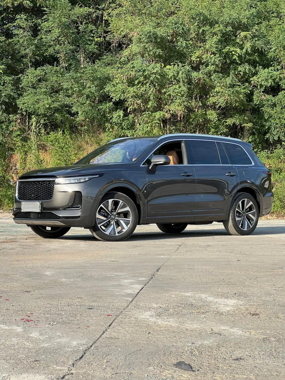 Li Auto ONE, 2021