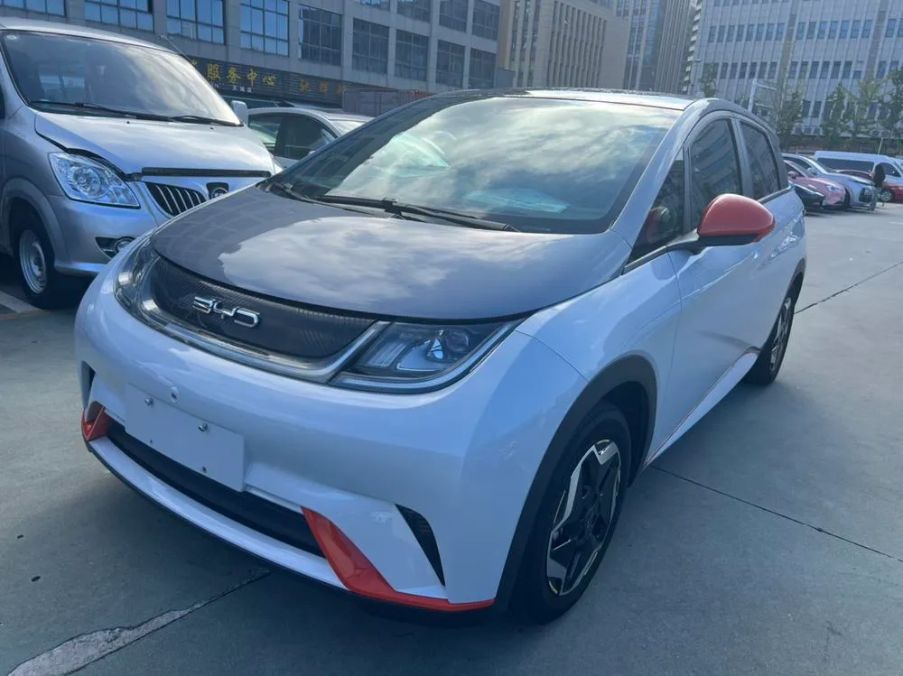 BYD Dolphin, 2021