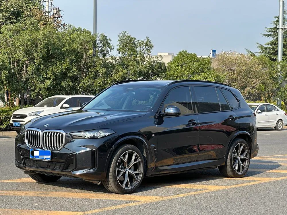 BMW X5 xDrive30Li Prestige Version M Sport, 2023 — фото 1