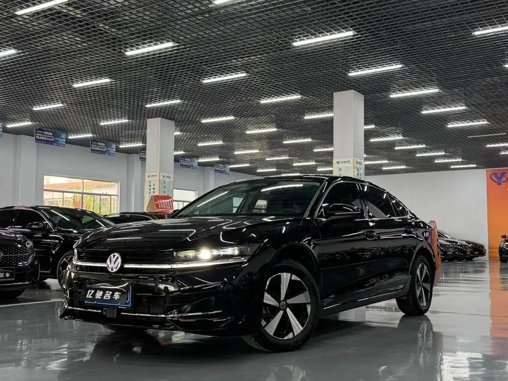 Volkswagen Magotan, 2024