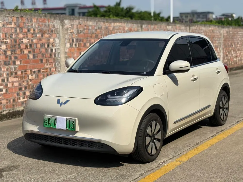 Wuling Bingo, 2023